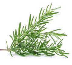 Rosemary